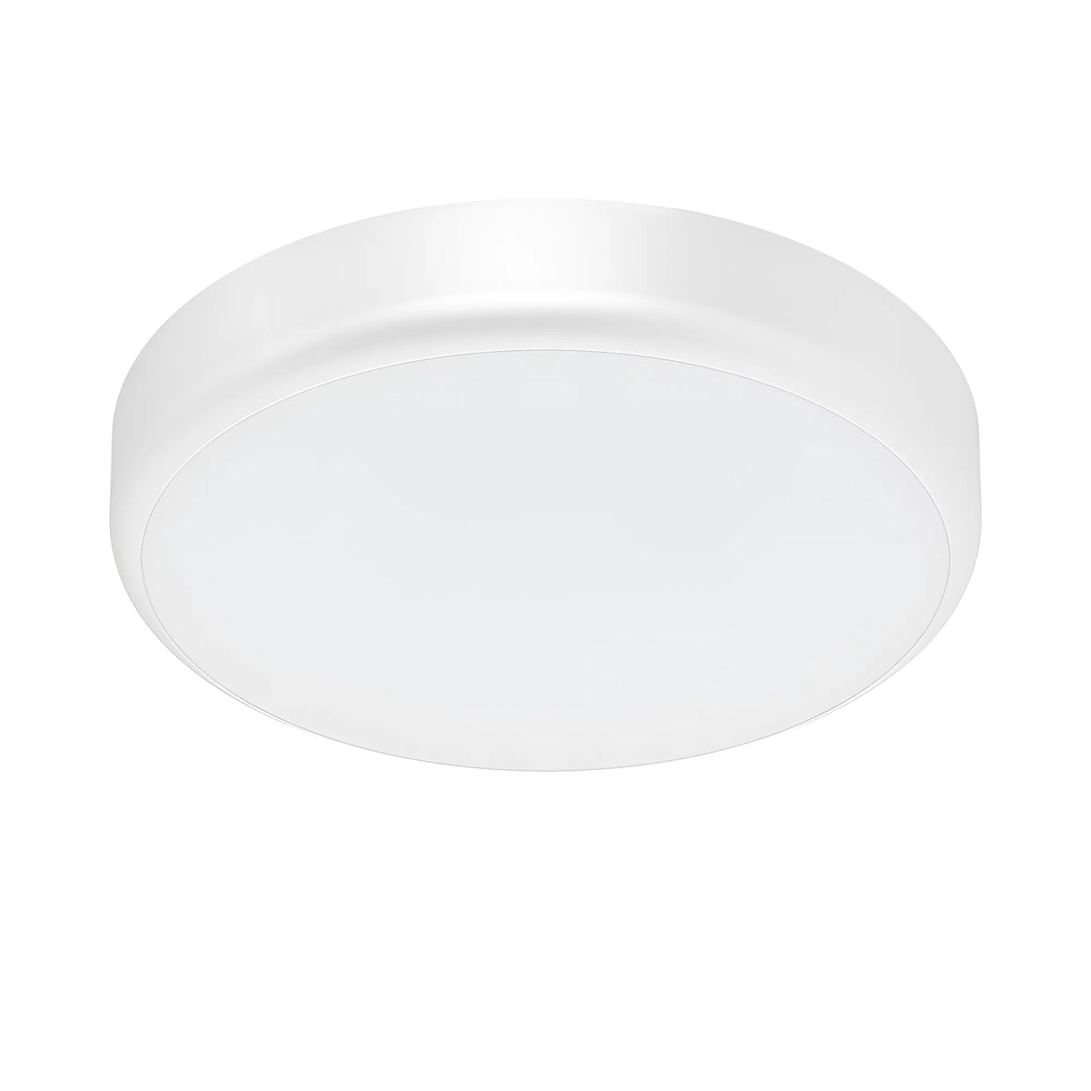 Braytron Grande Plafondlamp 20W 5in1