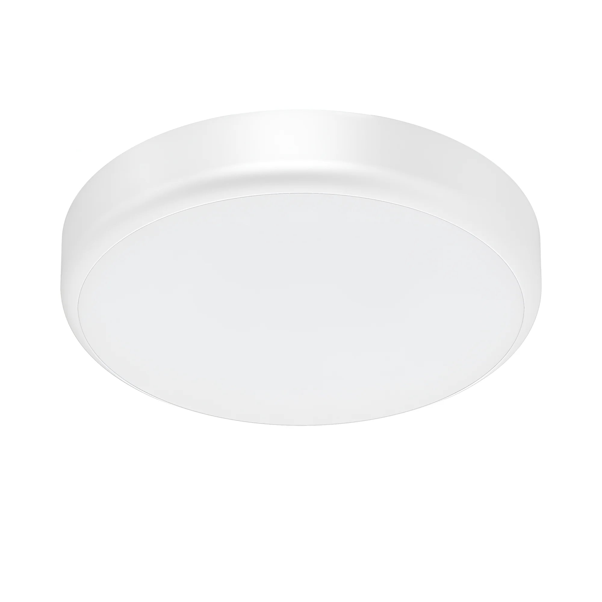 Braytron Grande Plafondlamp 20W 5in1