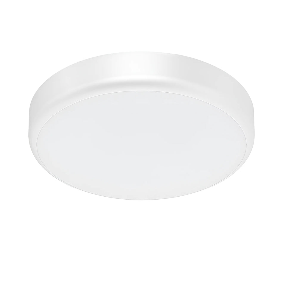 Braytron Grande Plafondlamp 20W 5in1
