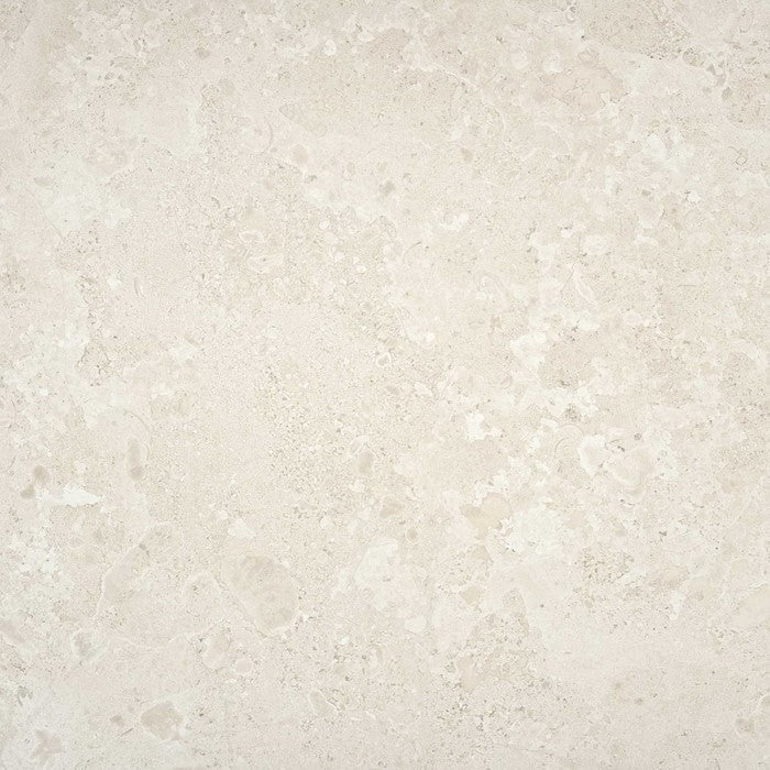 Santa Monica Bone 60x60