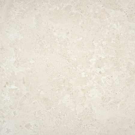 Santa Monica Bone 60x60