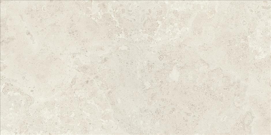 Santa Monica Bone 60x120