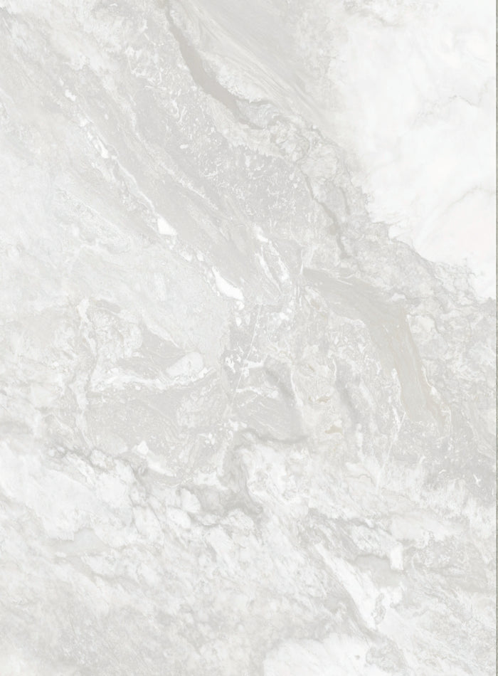 DutchLine - SPC Wandpaneel Y123 - 1200x2400x4