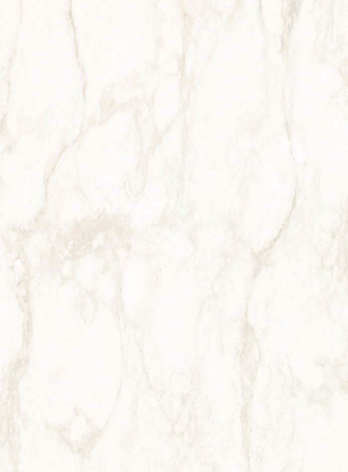 DutchLine - SPC Wandpaneel Y131 - 1200x2400x4