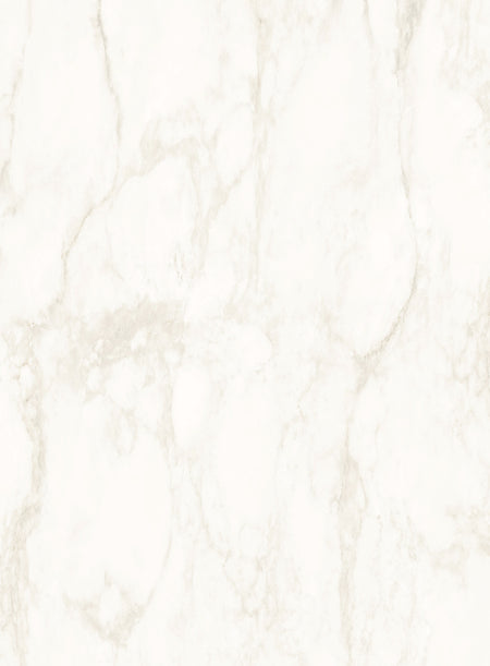 DutchLine - SPC Wandpaneel Y131 - 1200x2400x4