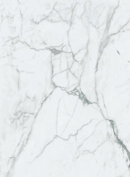 DutchLine - SPC Wandpaneel Y9 - 1200x2400x4