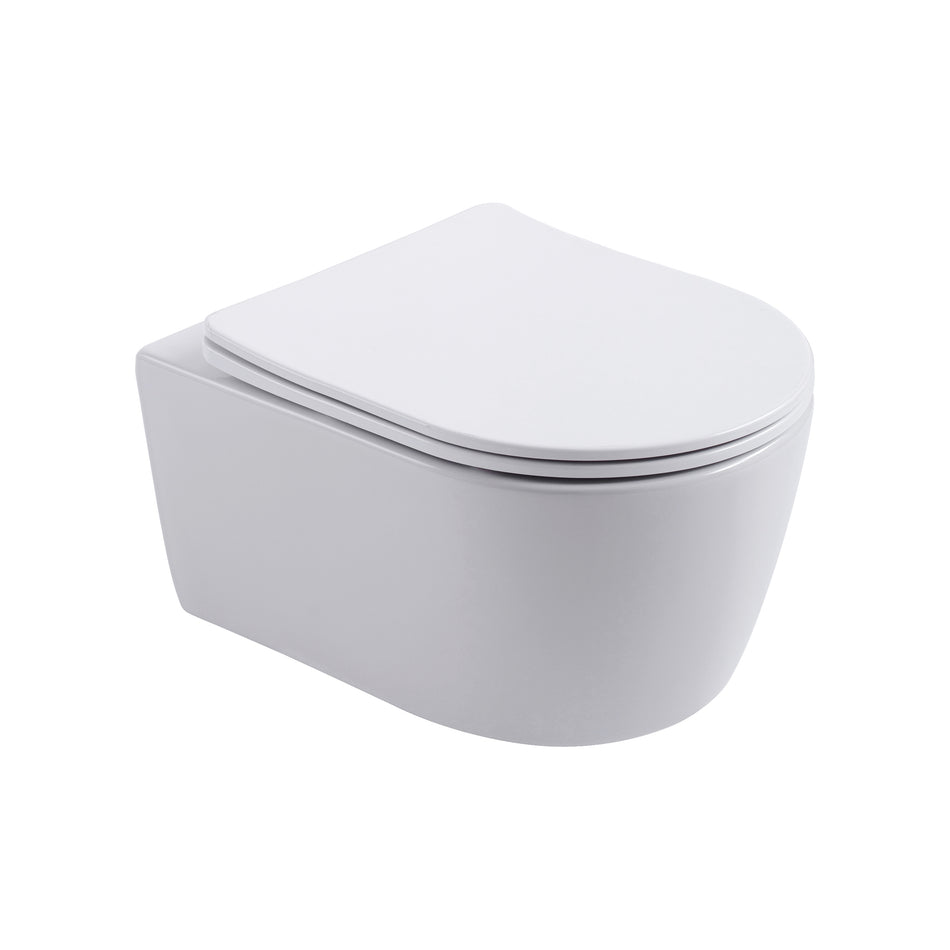 Pro Hangtoilet - Randloos - met Zitting - Duroplast - Soft Close - Quick Release - Compact 49 cm - 36X25X49 cm - Glanzend Wit