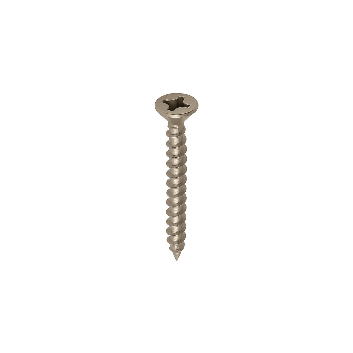 DutchLine - Schroeven T.B.V. Vlonderclips - RVS - 100 stuks