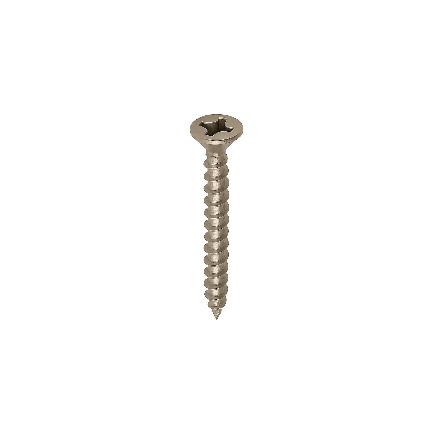 DutchLine - Schroeven T.B.V. Vlonderclips - RVS - 100 stuks