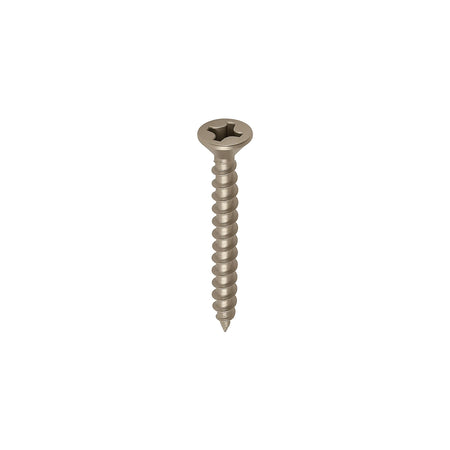DutchLine - Schroeven T.B.V. Vlonderclips - RVS - 100 stuks