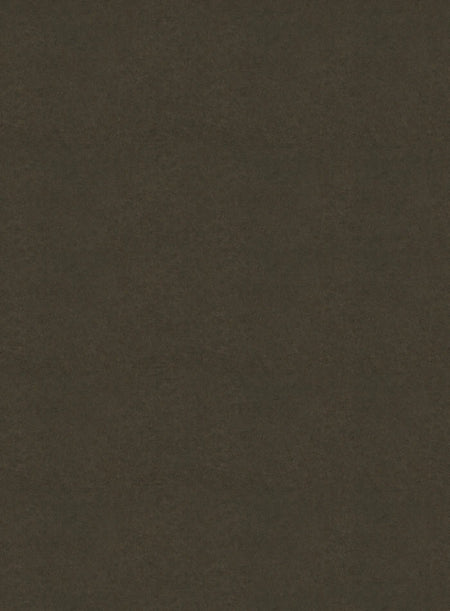 DutchLine - SPC Wandpaneel - Cemento Bruin Mat