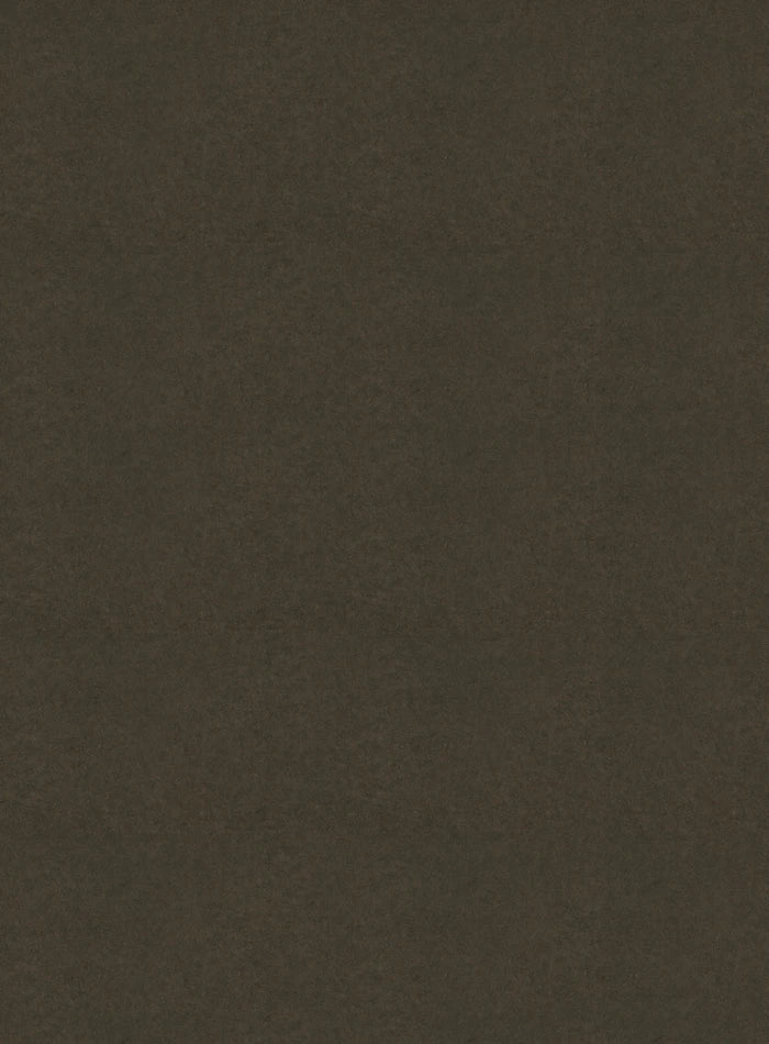 DutchLine - SPC Wandpaneel - Cemento Bruin Mat